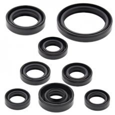 SADA GUFER MOTORU WINDEROSA EOSK 822167