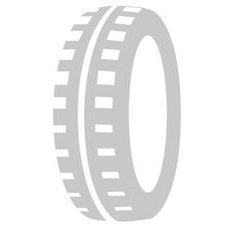 PNEUMATIKA DUNLOP 60/100-10 33J TT GEOMAX MX54 F