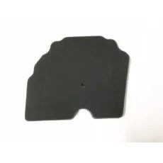 BENELLI AIR.FILTR BN/49202P160000