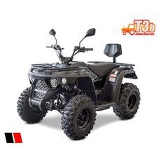 LINHAI M210 2X4 EFI T3B