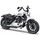 Maisto Harley-Davidson Forty-Eight 2018 Special (Austr. ver.) 1:18