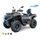 LINHAI Linhai ATV 650L LANDFORCE PRO EPS, EFI, E5+