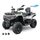 LINHAI Linhai ATV 650L LANDFORCE EPS, EFI, E5+