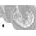 AIR DUCT PUIG 22739C KARBONOVÝ VZHLED