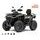 SEGWAY Segway Snarler AT6 L EPS Limited, T3b, Camo