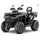 SEGWAY Snarler AT6 L Limited EPS E5 GREY/BLACK