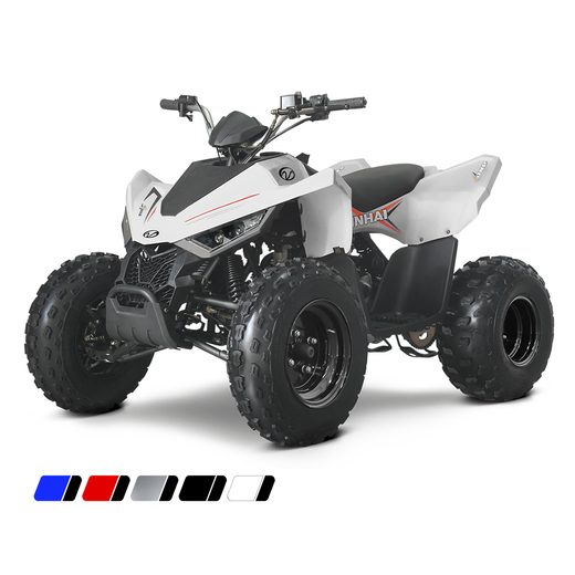 LINHAI LINHAI ATV 110 2X4 EFI CE