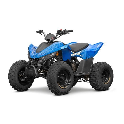 LINHAI LINHAI ATV 110 2X4 EFI CE