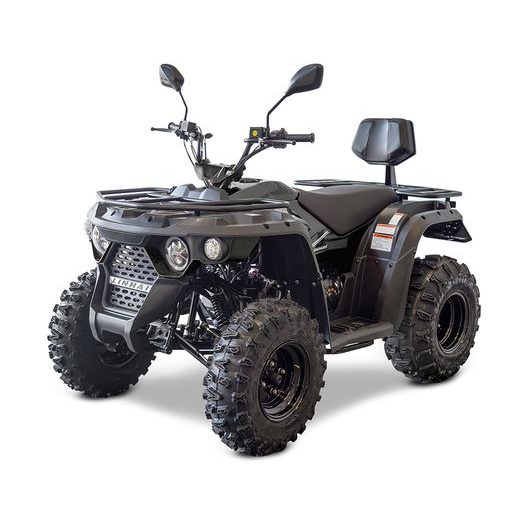 LINHAI M210 2X4 EFI T3B