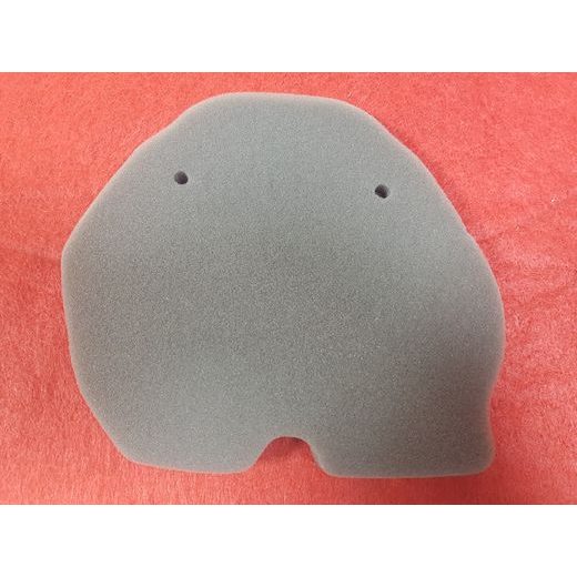 BENELLI AIR.FILTR BN/49202P100001