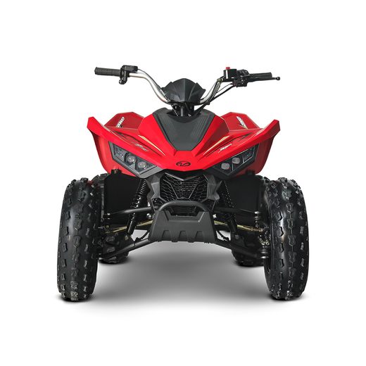 LINHAI LINHAI ATV 110 2X4 EFI CE