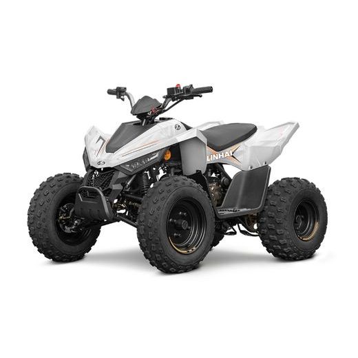 LINHAI LINHAI ATV 110 2X4 EFI CE