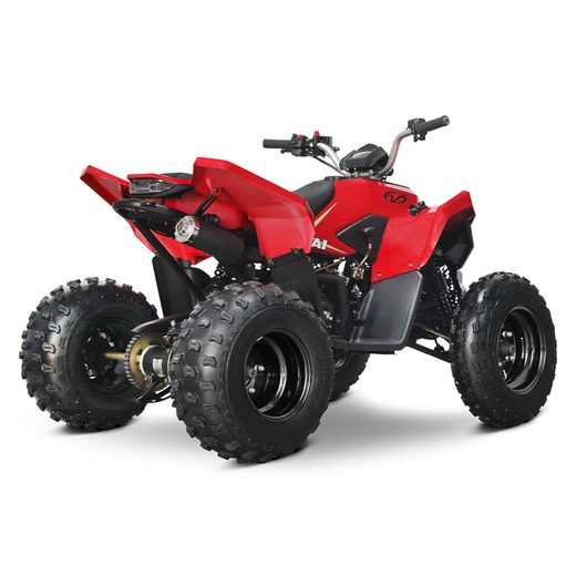 LINHAI LINHAI ATV 110 2X4 EFI CE