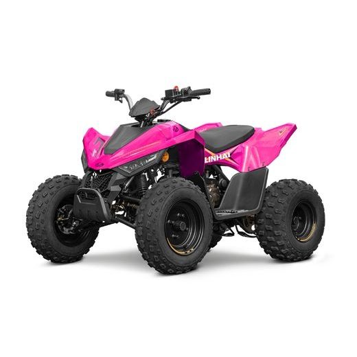 LINHAI LINHAI ATV 110 2X4 EFI CE