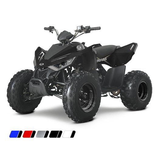 LINHAI LINHAI ATV 110 2X4 EFI CE