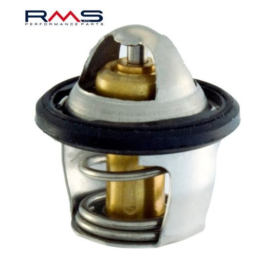 TERMOSTAT RMS 100120040