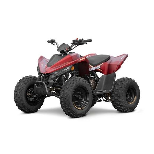 LINHAI LINHAI ATV 110 2X4 EFI CE