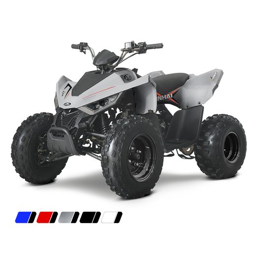 LINHAI LINHAI ATV 110 2X4 EFI CE
