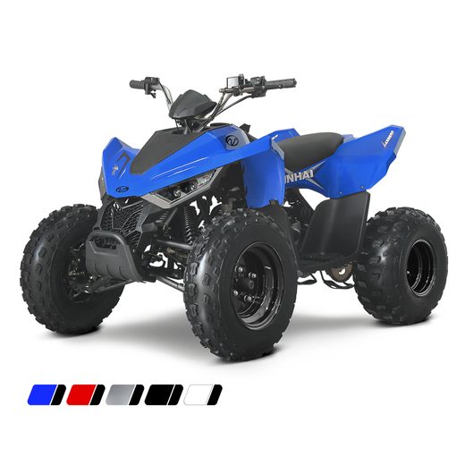 LINHAI LINHAI ATV 110 2X4 EFI CE