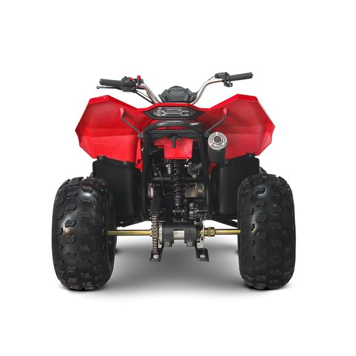 LINHAI LINHAI ATV 110 2X4 EFI CE