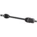 OSA ALL BALLS RACING AB8-CA-8-336 8BALL