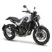 BENELLI LEONCINO 500 TRAIL EURO 4 SILVER