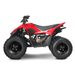 LINHAI LINHAI ATV 110 2X4 EFI CE