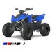 LINHAI LINHAI ATV 110 2X4 EFI CE