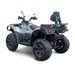 LINHAI ATV 650L PROMAX EPS, EFI, T3B, GREY - REZERVACE