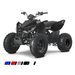 LINHAI LINHAI ATV 110 2X4 EFI CE