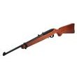 Ruger 10/22 Carbine