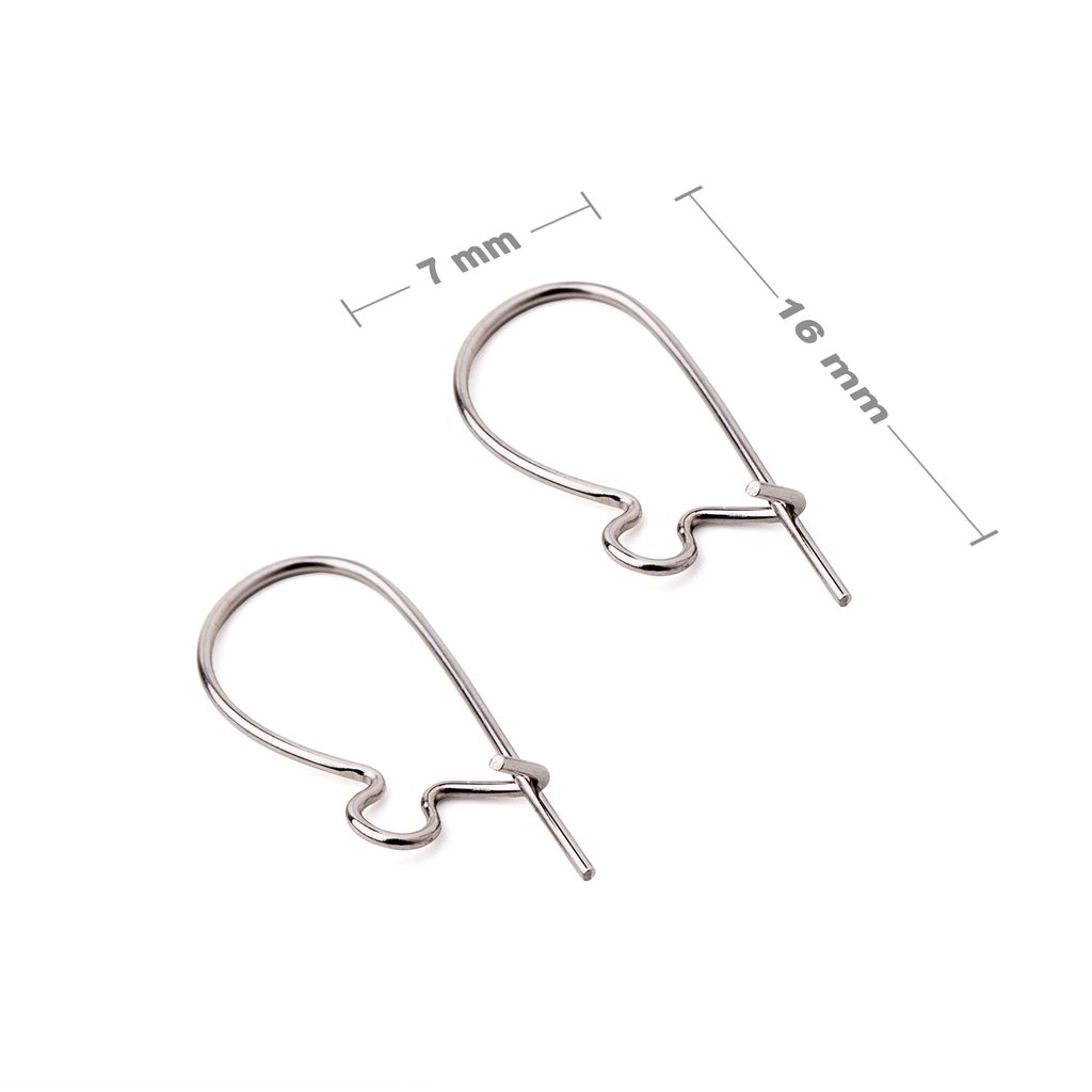 Stainless Steel Ear Hooks 