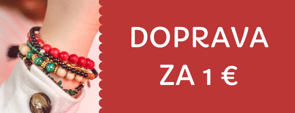 Novoroční zvýhodněná doprava za 19 Kč