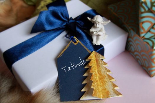 Návod na výrobu jmenovky se stromečkem