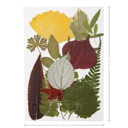 Lisované sušené listy farebné A7
