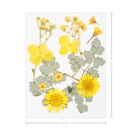 Lisované sušené květiny žluté A7