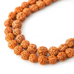 Bead from Rudraksha seed colored 8mm