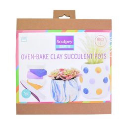 Sculpey succulent planter set