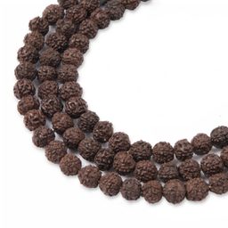 Bead from Rudraksha seed colored dark brown 6mm