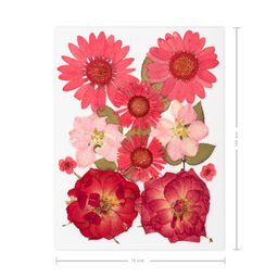 Pressed dried flowers red