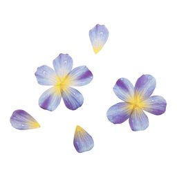 Scrapbook stickers flower petals blue