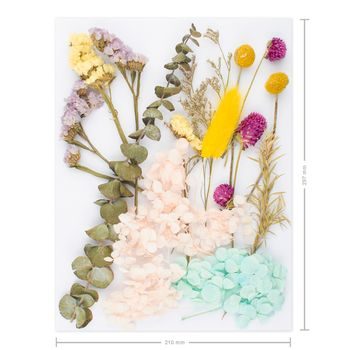 Sušené květiny nelisované barevné A4
