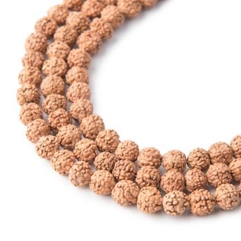 Bead from Rudraksha seed natural uncoloured 6mm