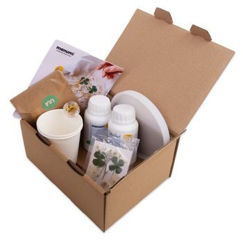 Manumi creative kit Crystal resin coaster with dried flowers