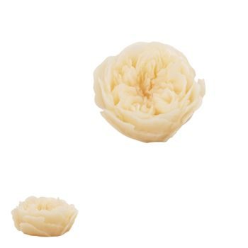 Směs dřevěných výřezů s motivy louky 15ks