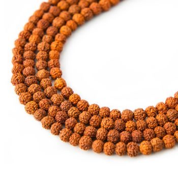 Bead from Rudraksha seed colored 5mm