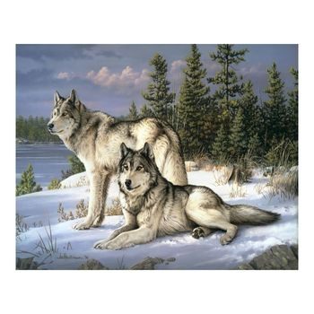 Painting by numbers wolf couple