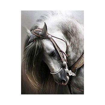 Diamond painting white horse