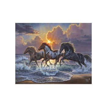 Maľovanie podľa čísel kone na pobreží