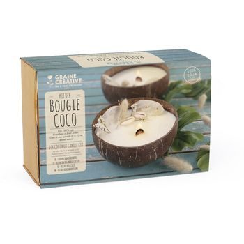Creative kit for making a candle with a coconut